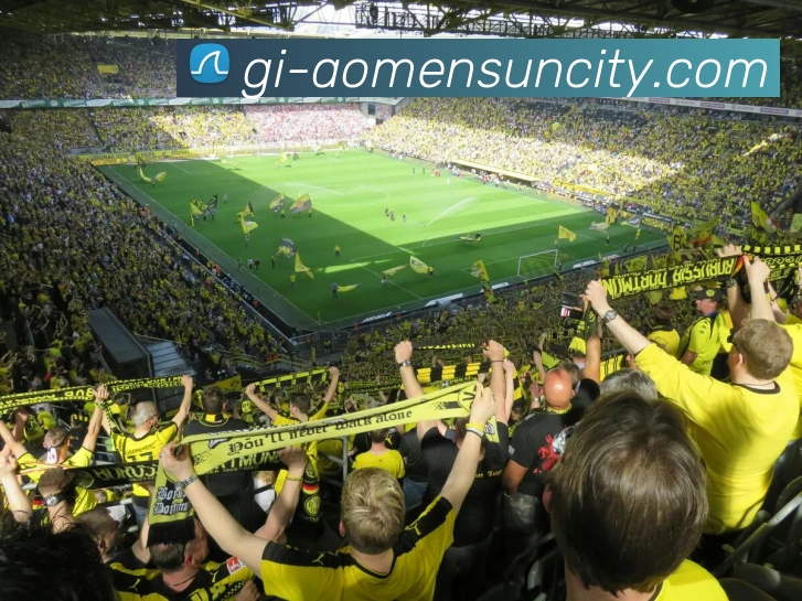 多媒体互动体验